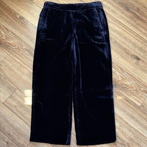 J. Crew Navy Blue Velvet Trousers